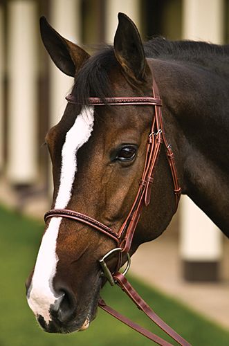 Henri de Rivel Leather Overlay Snaffle Bridle w Reins