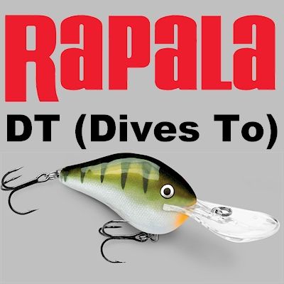 rapala dt dives to crankbait