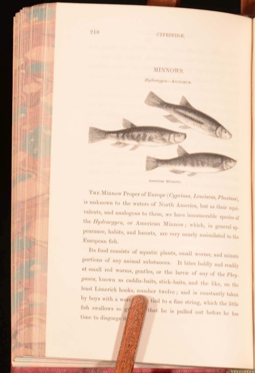  Foresters Fish and Fishing of the United States H W Herbert S Hogg