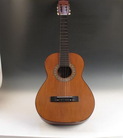 Hondo 2 Acoustic Guitar Model Hoon