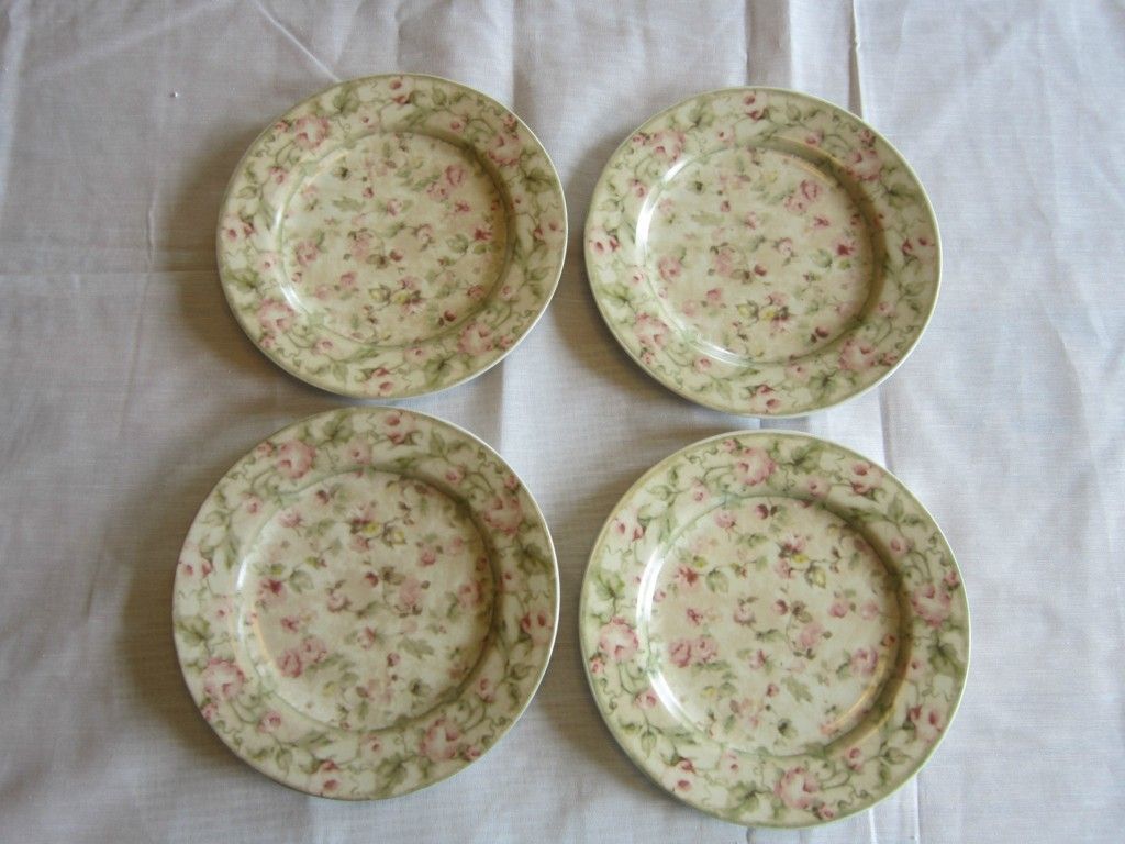 Set of 222 Fifth Savannah 4 Salad Plates