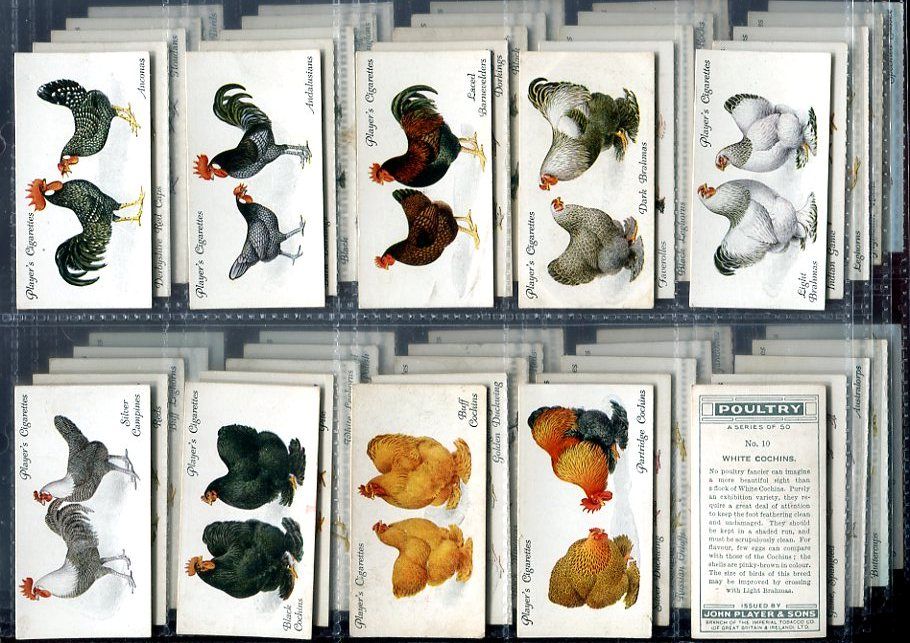 Tobacco Card Set John Player Poultry Hen Chicken Rooster etc 1931