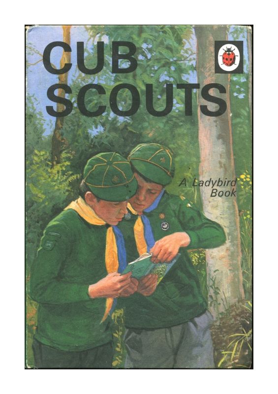 Ladybird Cub Scouts Series 706 Matt Covers 1982 Good Condition  