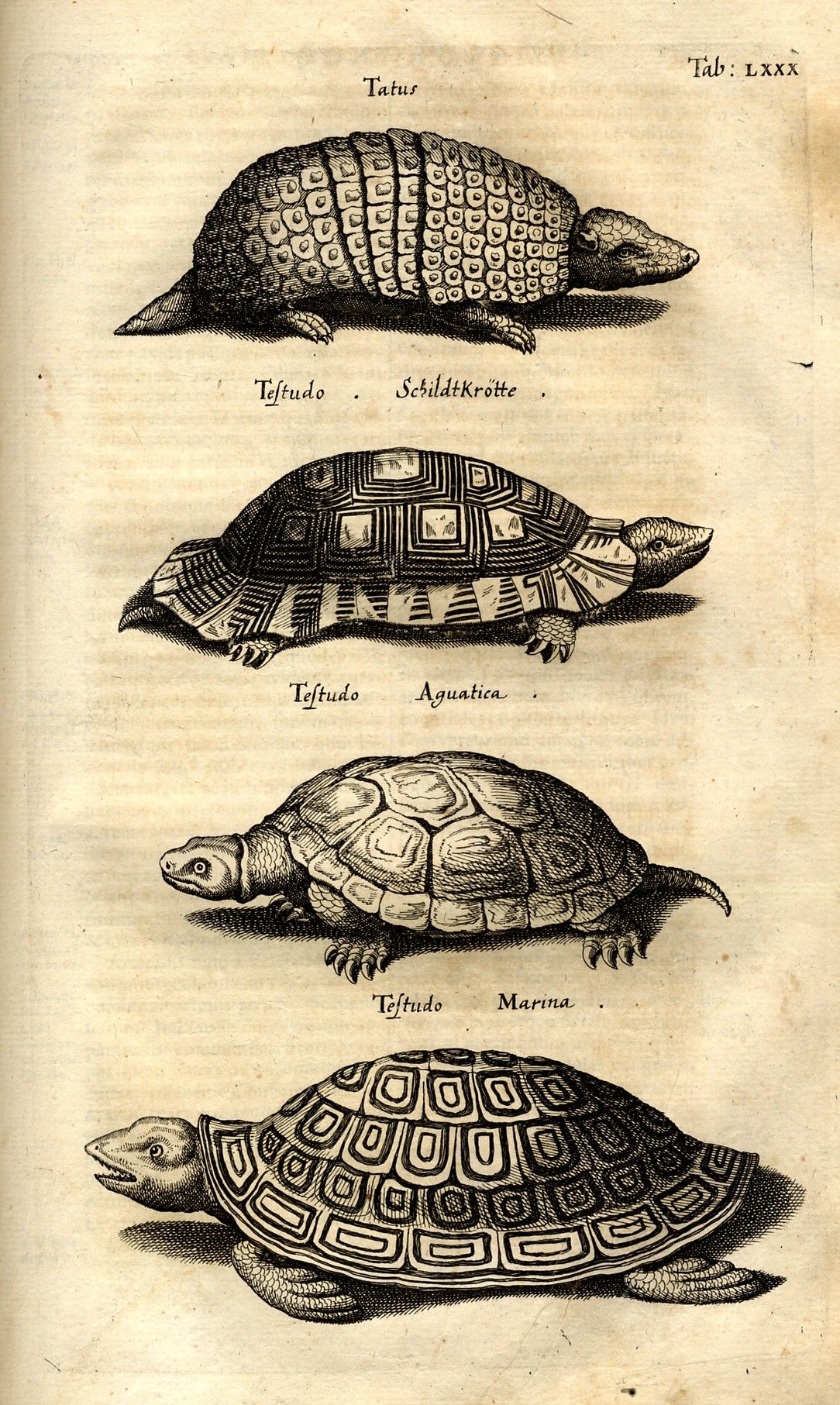 John Jonstons HISTORIAE NATURALIS in 7 volumes 1650 1657  