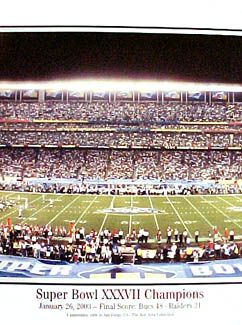 Super Bowl XXXVII TAMPA BAY BUCS CHAMPS 2003 Panoramic Poster Print  