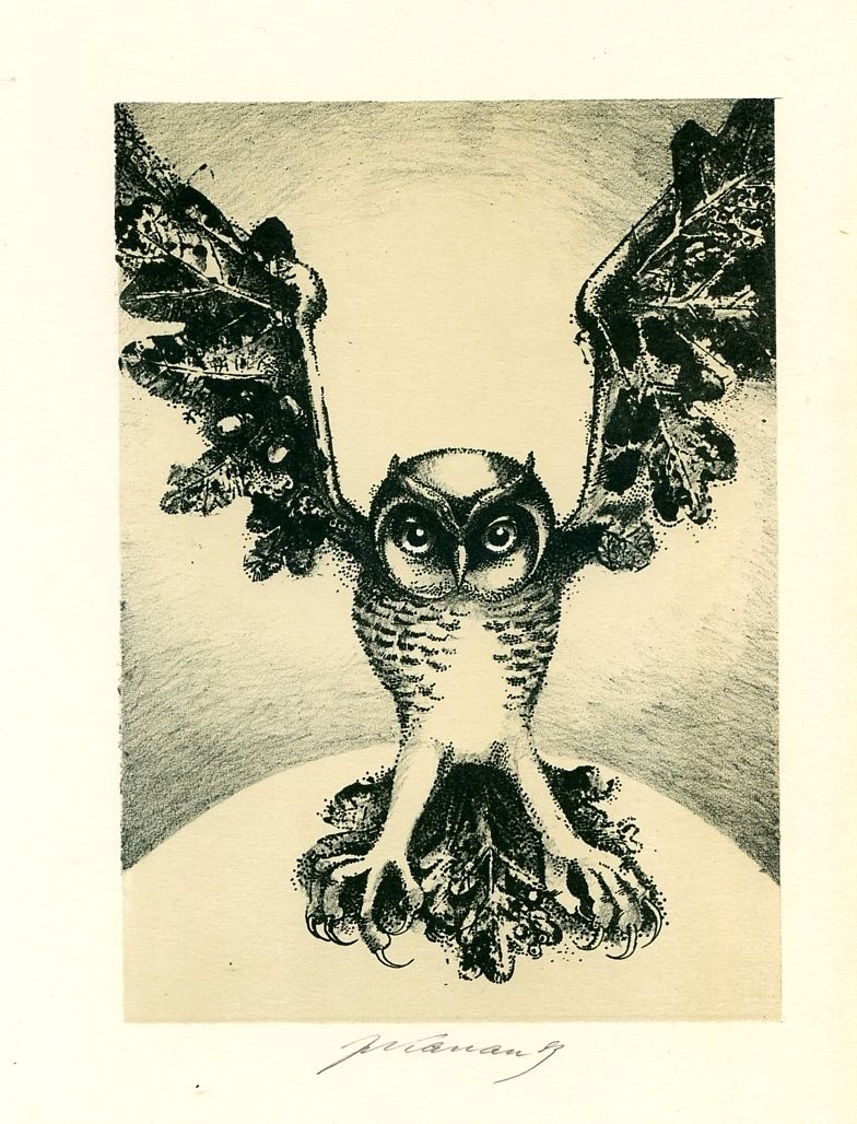 Owl EX libris Free Graphic Art by Jan Kavan Czech Republic