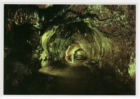 Big Island Hi Kilauea Thurston Lava Tube Postcard