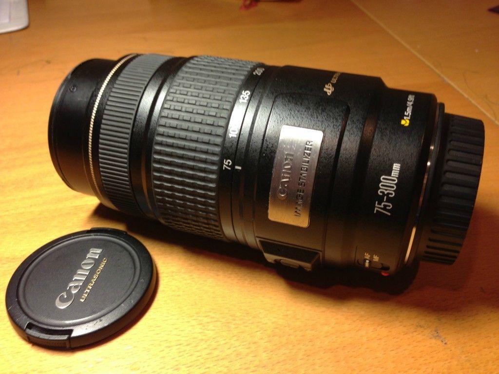 Canon Telephoto Zoom Lens EF 75 300mm F 4 0 5 6 Is USM