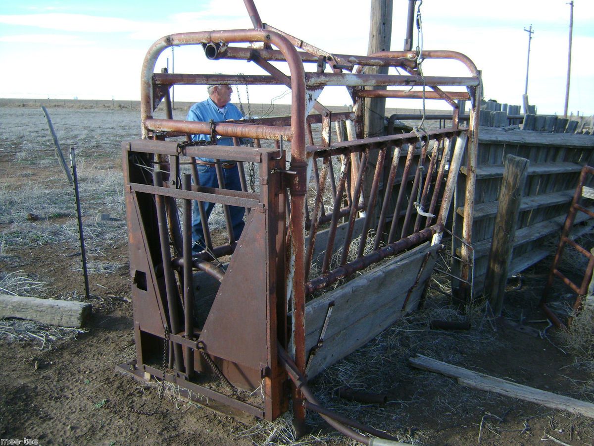 Cattle Squeeze Chute Head Gate Texas