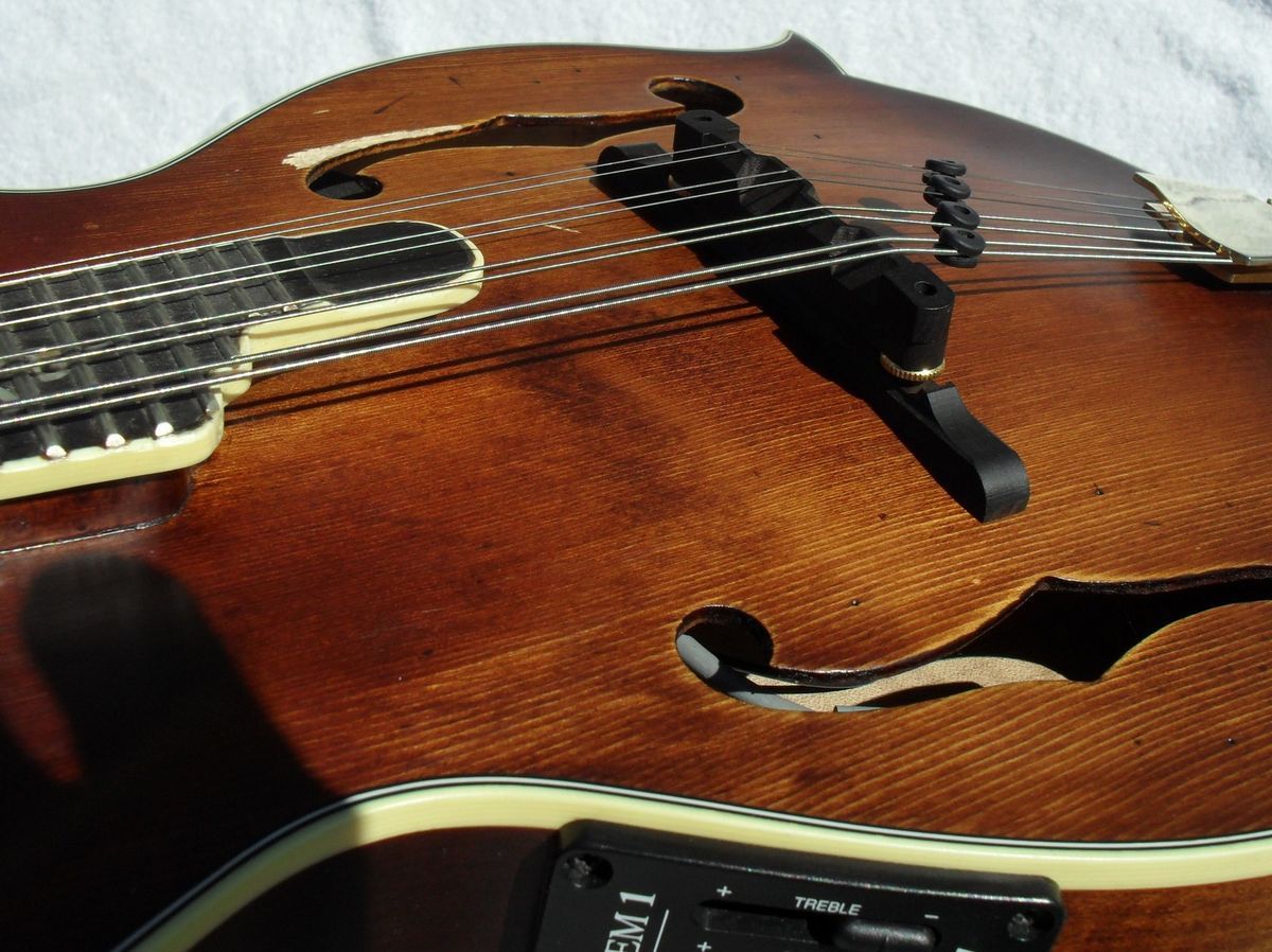 Michael Kelly F Style Mandolin MKLDFEVS Legacy Dragonfly Fishman