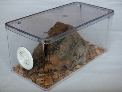 TARANTULA INSECT REPTILE ENCLOSURE VIVARIUM/TANK/ CAGE