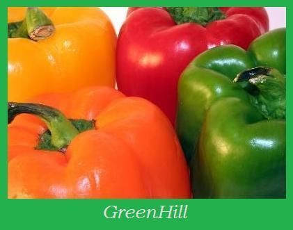 bell pepper plants