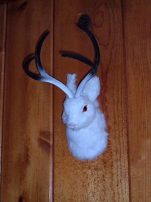 JACKALOPE Head Mount REALISTIC FURRY ANIMAL REPLICA r1803white FREE