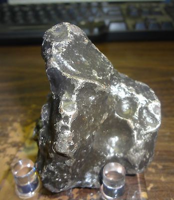 395 GM. NEW CAMPO DEL CIELO METEORITE ; TOP GRADE