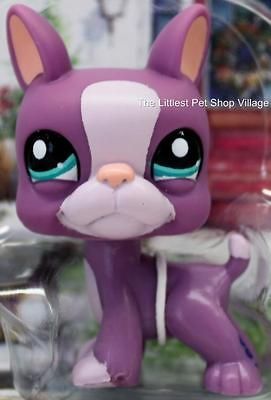 LITTLEST PET SHOP✿PURPLE BOSTON TERRIER PUPPY #2229✿NEW✿PET