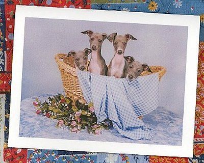 GREYHOUND ITALIAN PUPPIES Stationery #0991