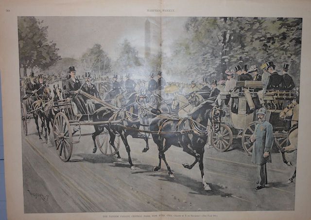 Tandem Parade Central Park New York City 1891 Horse Carriage Scarce