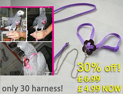 harness in Bird Supplies