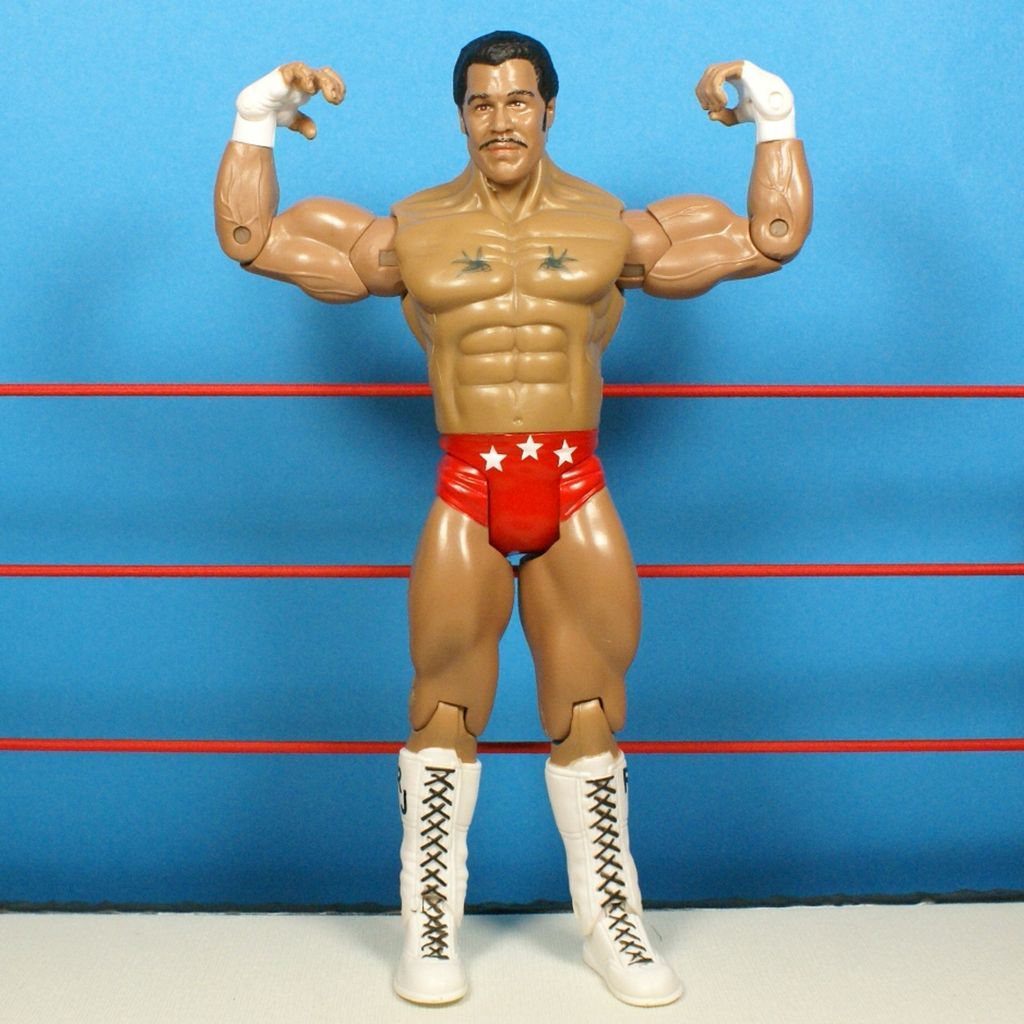 WWE Wrestling ROCKY JOHNSON Classic Superstars FIGURE WWF JAKKS *1301