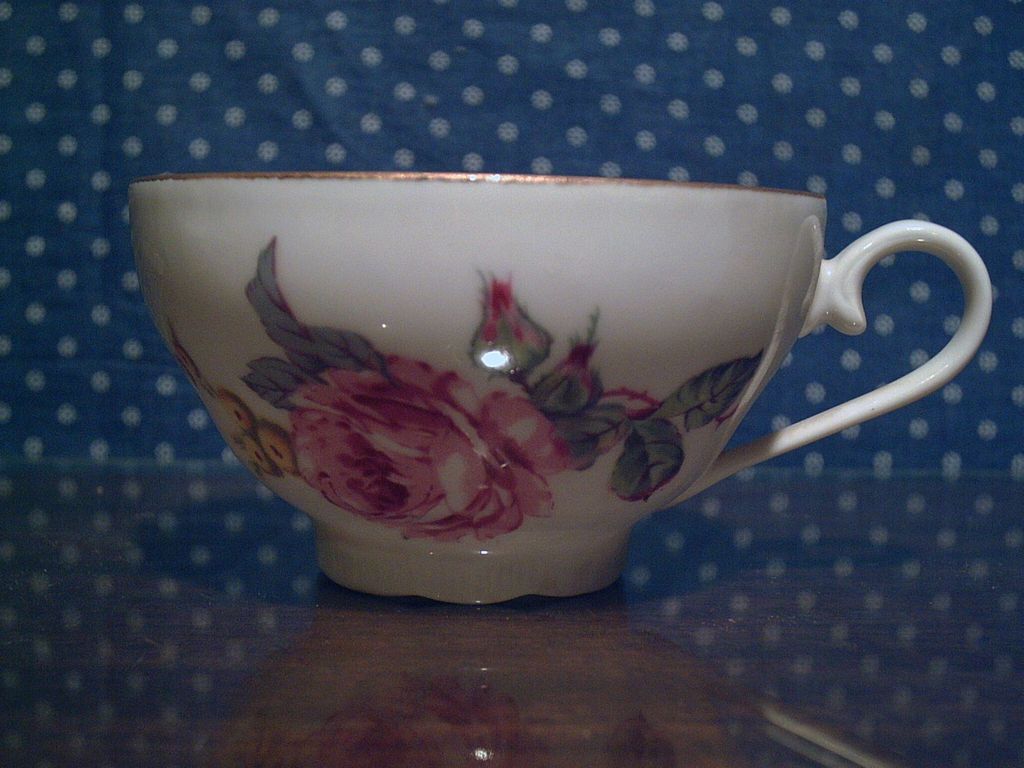 Bohemian Fine China Floral 6 oz Teacup Czechoslovakia