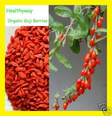 lb Healthyway Super Grade Organic NingXia Red Goji Berry Wolfberry