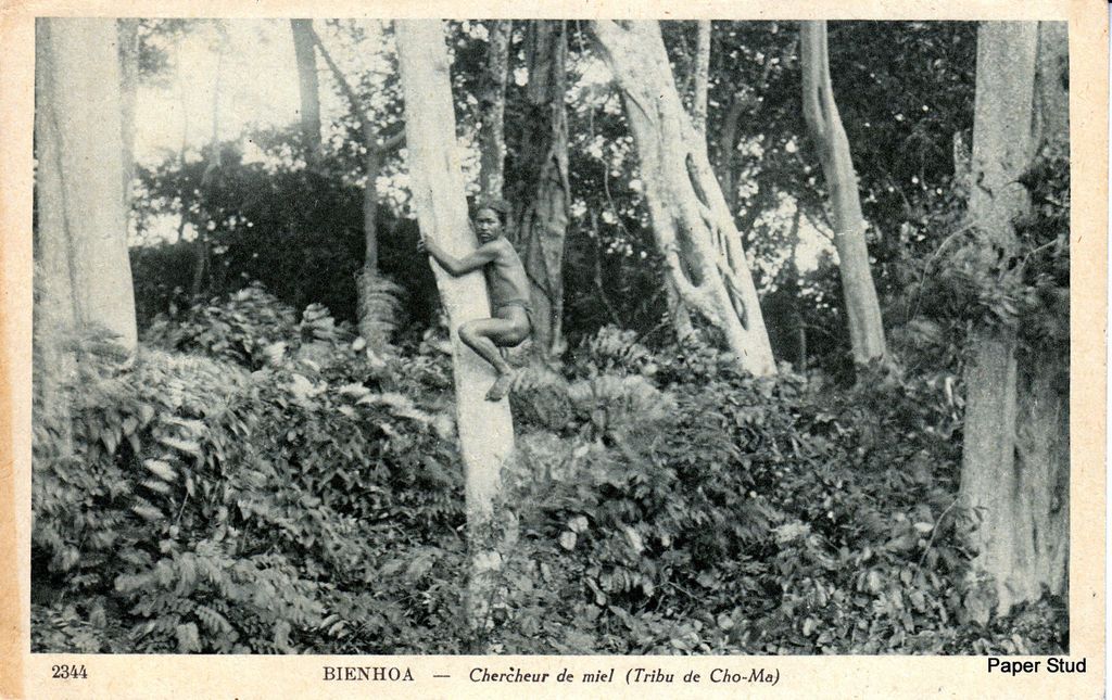 RPPC Bien Hoa Vietnam Cho Ma Tribe Boy Climbing Tree in Search of