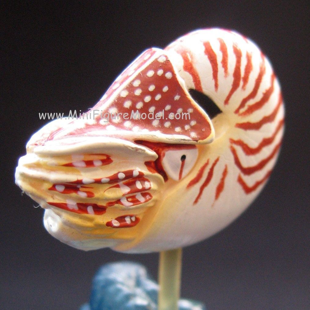 CHAMBERED NAUTILUS Pompilius Bottle cap mini figure model Japan gift