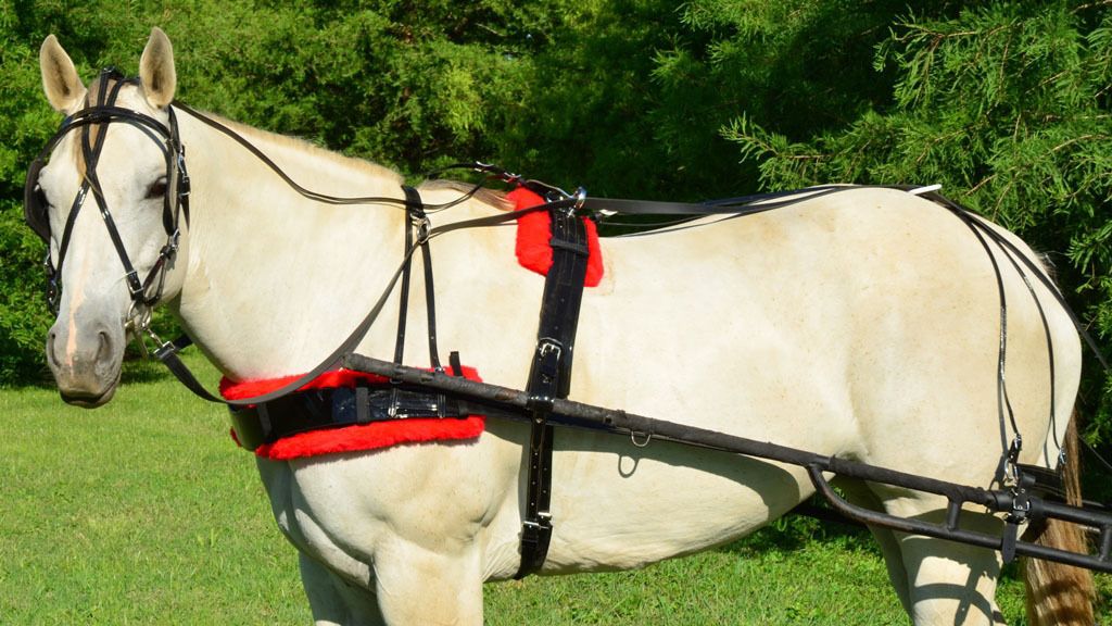 DRAFT HORSE* SIZE Solid BLACK Biothane HARNESS with RED PAD Driving