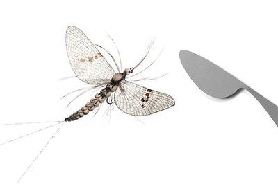 Son Wing Burner Mayfly Emerger Dun Spent Wing   Fly Tying