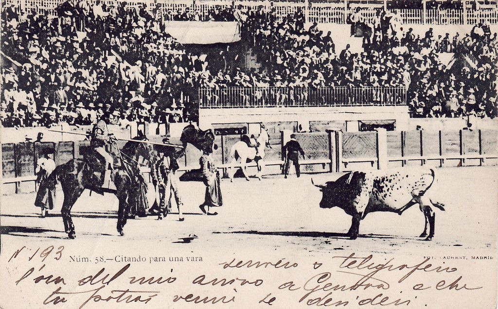 SPAIN   Corrida   El toro en agonia 1908